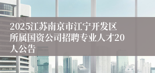 2025江苏南京市江宁开发区所属国资公司招聘专业人才20人公告
