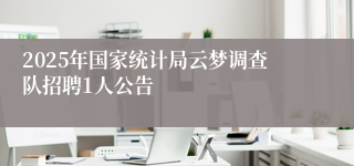 2025年国家统计局云梦调查队招聘1人公告