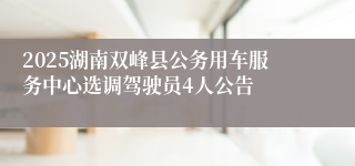 2025湖南双峰县公务用车服务中心选调驾驶员4人公告