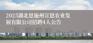 2025湖北恩施州宣恩农业发展有限公司招聘4人公告