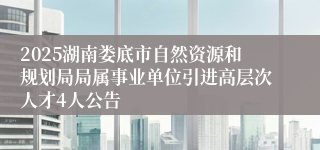 2025湖南娄底市自然资源和规划局局属事业单位引进高层次人才4人公告
