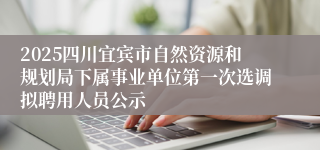 2025四川宜宾市自然资源和规划局下属事业单位第一次选调拟聘用人员公示