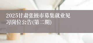 2025甘肃张掖市募集就业见习岗位公告(第二期)