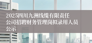 2025四川九洲线缆有限责任公司招聘财务管理岗拟录用人员公示
