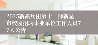 2025新疆兵团第十三师新星市校园招聘事业单位工作人员77人公告