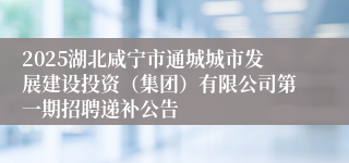 2025湖北咸宁市通城城市发展建设投资（集团）有限公司第一期招聘递补公告                                    	       