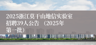 2025浙江莫干山地信实验室招聘39人公告 （2025年第一批）
