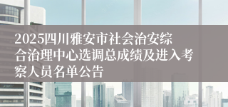2025四川雅安市社会治安综合治理中心选调总成绩及进入考察人员名单公告