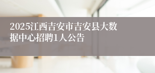 2025江西吉安市吉安县大数据中心招聘1人公告