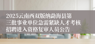 2025云南西双版纳勐海县第三批事业单位急需紧缺人才考核招聘进入资格复审人员公告