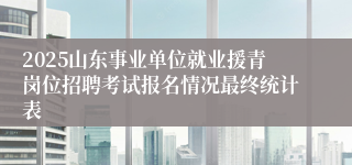 2025山东事业单位就业援青岗位招聘考试报名情况最终统计表