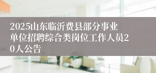 2025山东临沂费县部分事业单位招聘综合类岗位工作人员20人公告