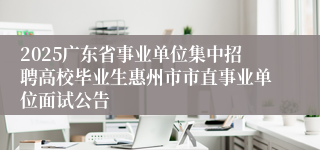 2025广东省事业单位集中招聘高校毕业生惠州市市直事业单位面试公告