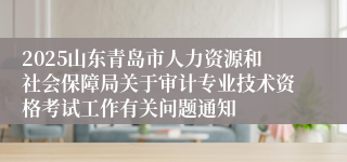 2025山东青岛市人力资源和社会保障局关于审计专业技术资格考试工作有关问题通知