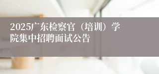 2025广东检察官（培训）学院集中招聘面试公告