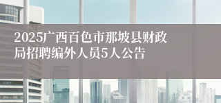 2025广西百色市那坡县财政局招聘编外人员5人公告