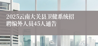 2025云南大关县卫健系统招聘编外人员45人通告