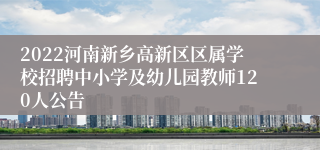 2022河南新乡高新区区属学校招聘中小学及幼儿园教师120人公告