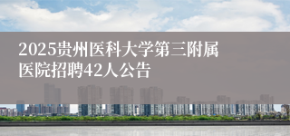 2025贵州医科大学第三附属医院招聘42人公告