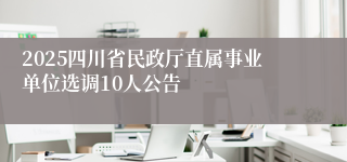2025四川省民政厅直属事业单位选调10人公告