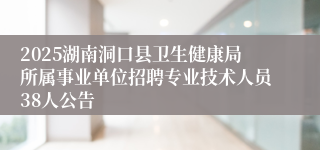 2025湖南洞口县卫生健康局所属事业单位招聘专业技术人员38人公告