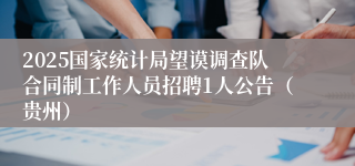2025国家统计局望谟调查队合同制工作人员招聘1人公告（贵州）