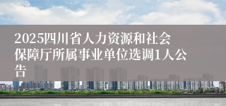 2025四川省人力资源和社会保障厅所属事业单位选调1人公告