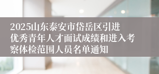 2025山东泰安市岱岳区引进优秀青年人才面试成绩和进入考察体检范围人员名单通知