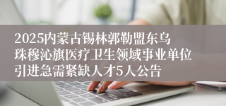 2025内蒙古锡林郭勒盟东乌珠穆沁旗医疗卫生领域事业单位引进急需紧缺人才5人公告
