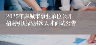 2025年麻城市事业单位公开招聘引进高层次人才面试公告