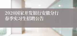 2020国家开发银行安徽分行春季实习生招聘公告