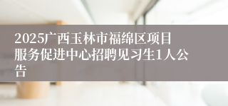 2025广西玉林市福绵区项目服务促进中心招聘见习生1人公告