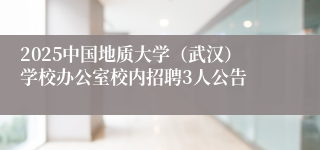 2025中国地质大学（武汉）学校办公室校内招聘3人公告