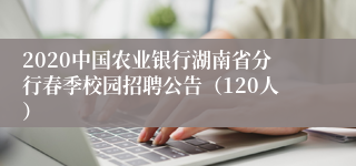 2020中国农业银行湖南省分行春季校园招聘公告（120人）