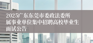 2025广东东莞市委政法委所属事业单位集中招聘高校毕业生面试公告