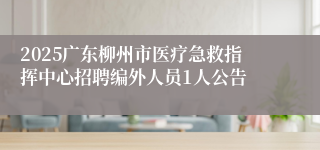 2025广东柳州市医疗急救指挥中心招聘编外人员1人公告