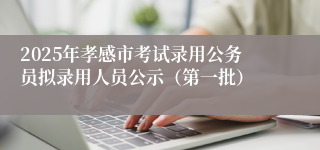 2025年孝感市考试录用公务员拟录用人员公示（第一批）