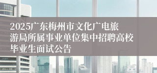 2025广东梅州市文化广电旅游局所属事业单位集中招聘高校毕业生面试公告