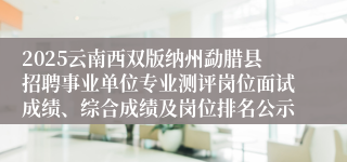 2025云南西双版纳州勐腊县招聘事业单位专业测评岗位面试成绩、综合成绩及岗位排名公示