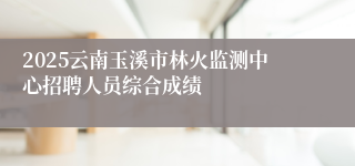 2025云南玉溪市林火监测中心招聘人员综合成绩