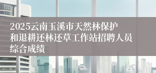 2025云南玉溪市天然林保护和退耕还林还草工作站招聘人员综合成绩