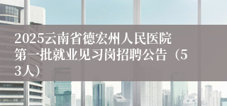 2025云南省德宏州人民医院第一批就业见习岗招聘公告（53人）