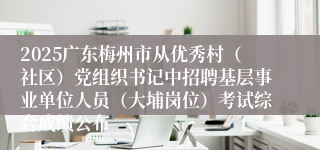 2025广东梅州市从优秀村（社区）党组织书记中招聘基层事业单位人员（大埔岗位）考试综合成绩公布