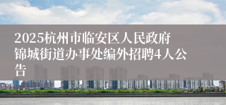 2025杭州市临安区人民政府锦城街道办事处编外招聘4人公告