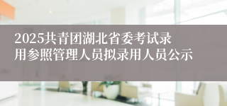 2025共青团湖北省委考试录用参照管理人员拟录用人员公示