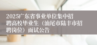 2025广东省事业单位集中招聘高校毕业生（汕尾市陆丰市招聘岗位）面试公告