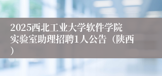 2025西北工业大学软件学院实验室助理招聘1人公告（陕西）