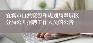 宜宾市自然资源和规划局翠屏区分局公开招聘工作人员的公告