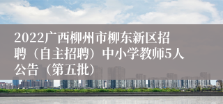 2022广西柳州市柳东新区招聘（自主招聘）中小学教师5人公告（第五批）