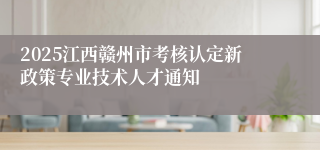2025江西赣州市考核认定新政策专业技术人才通知